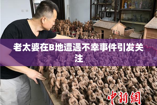 老太婆在B地遭遇不幸事件引发关注