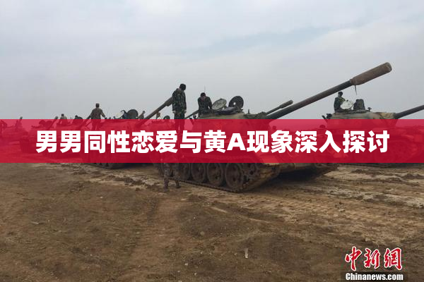 男男同性恋爱与黄A现象深入探讨