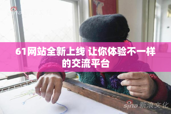 61网站全新上线 让你体验不一样的交流平台