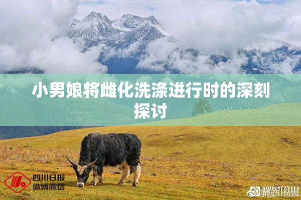 小男娘将雌化洗涤进行时的深刻探讨