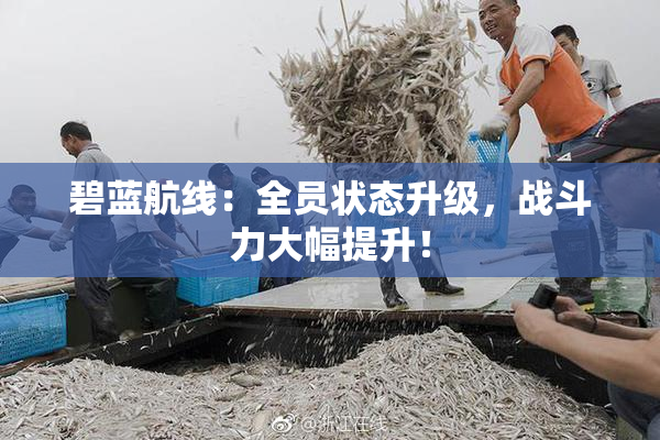 碧蓝航线：全员状态升级，战斗力大幅提升！