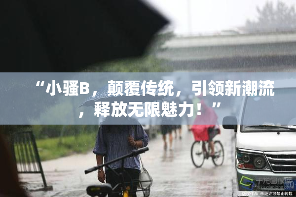 “小骚B，颠覆传统，引领新潮流，释放无限魅力！”