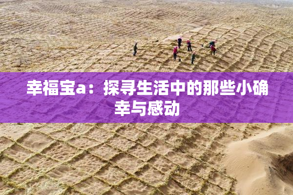 幸福宝a：探寻生活中的那些小确幸与感动