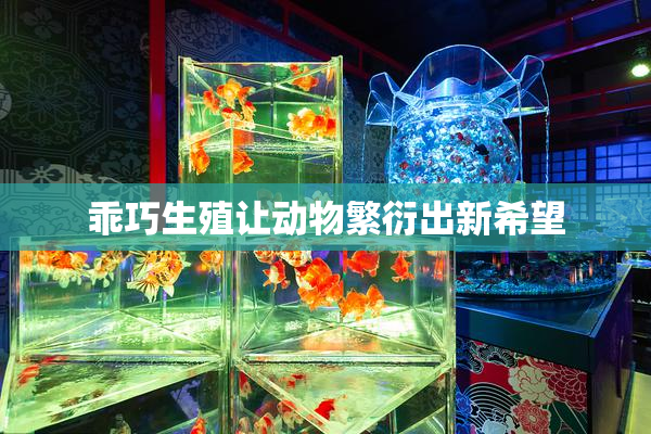 乖巧生殖让动物繁衍出新希望