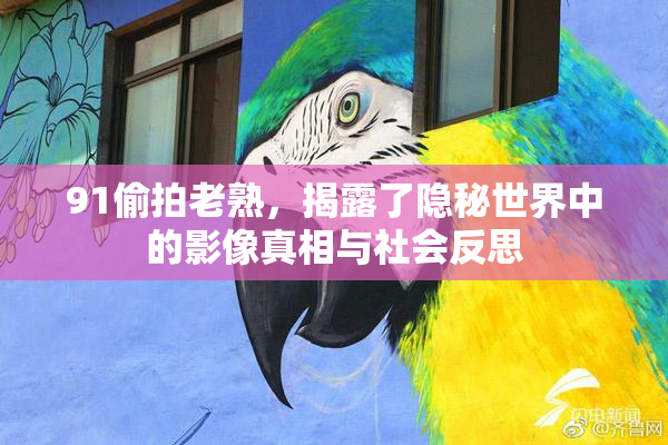 91偷拍老熟，揭露了隐秘世界中的影像真相与社会反思