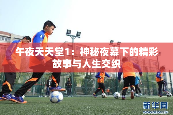 午夜天天堂1：神秘夜幕下的精彩故事与人生交织