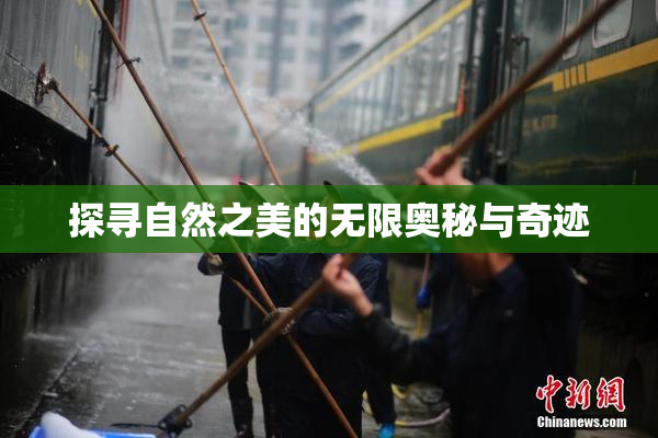 探寻自然之美的无限奥秘与奇迹