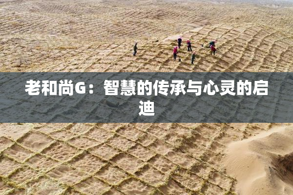 老和尚G：智慧的传承与心灵的启迪