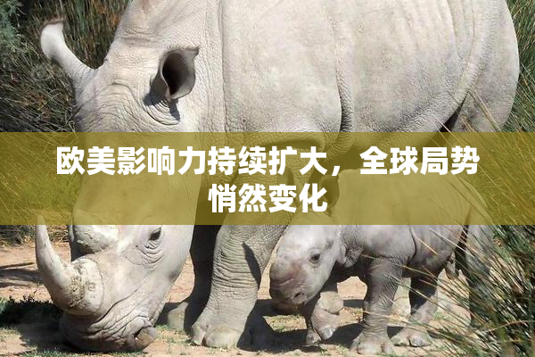 欧美影响力持续扩大，全球局势悄然变化