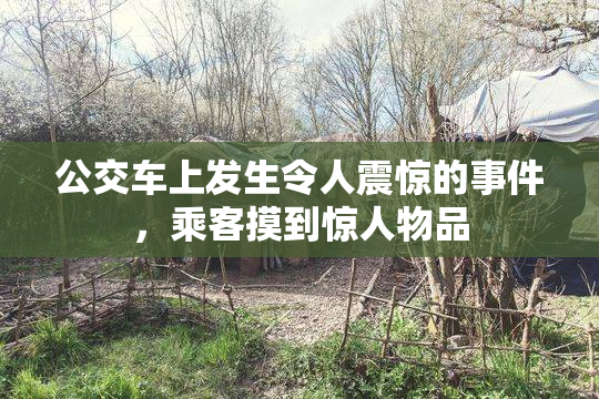 公交车上发生令人震惊的事件，乘客摸到惊人物品