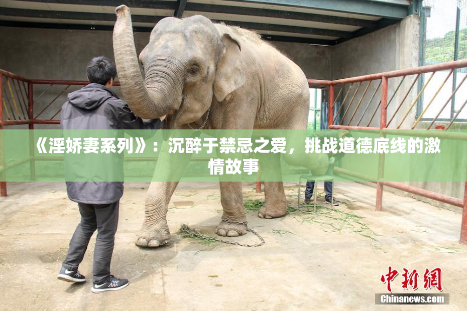 《淫娇妻系列》：沉醉于禁忌之爱，挑战道德底线的激情故事