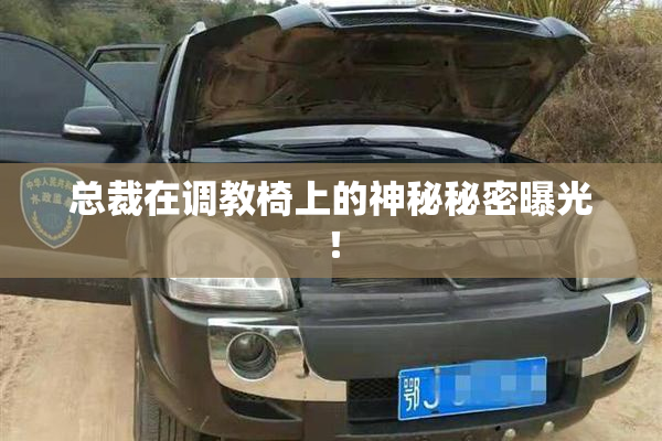 总裁在调教椅上的神秘秘密曝光！