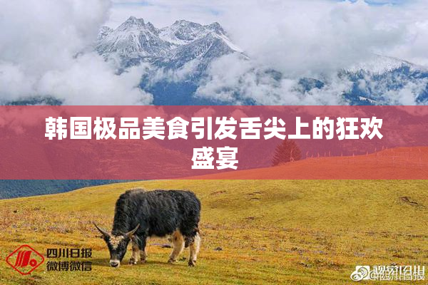 韩国极品美食引发舌尖上的狂欢盛宴