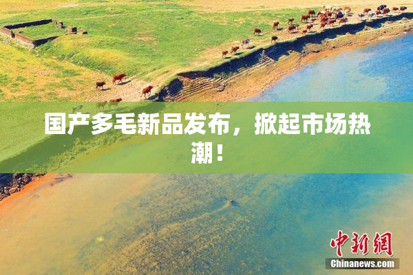 国产多毛新品发布，掀起市场热潮！