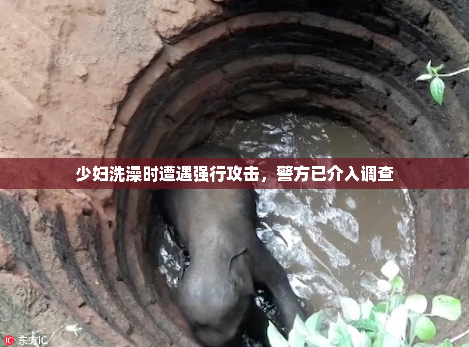 少妇洗澡时遭遇强行攻击，警方已介入调查