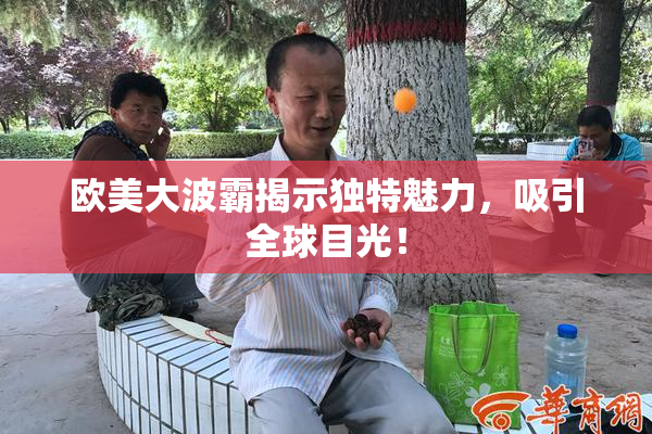欧美大波霸揭示独特魅力，吸引全球目光！