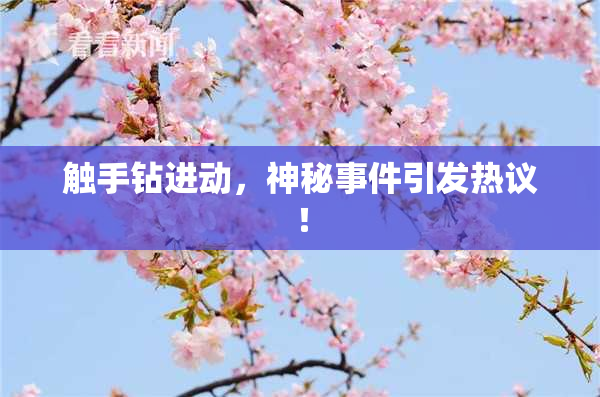 触手钻进动，神秘事件引发热议！