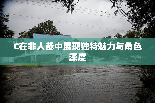 C在非人哉中展现独特魅力与角色深度