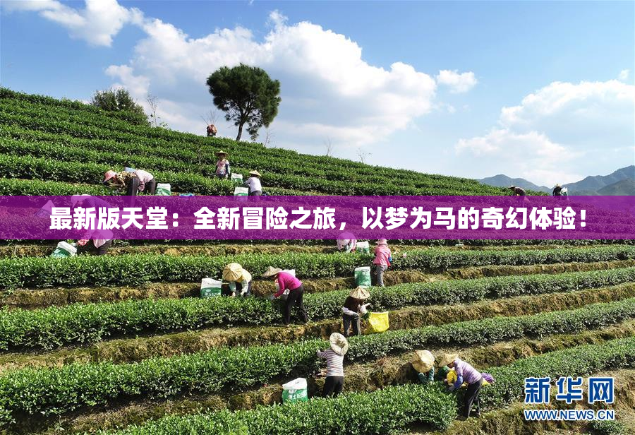 最新版天堂：全新冒险之旅，以梦为马的奇幻体验！
