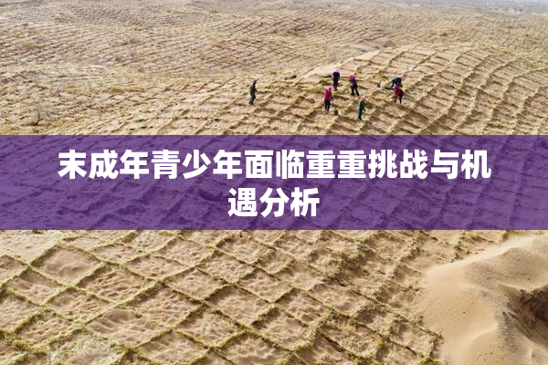 末成年青少年面临重重挑战与机遇分析