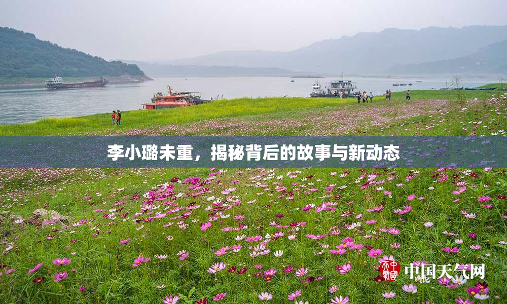 李小璐未重，揭秘背后的故事与新动态
