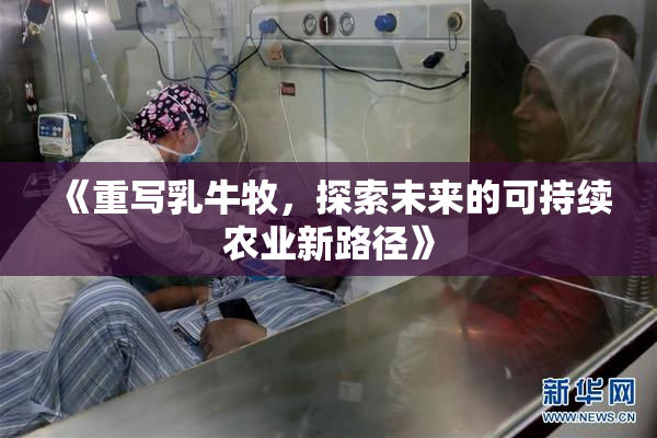 《重写乳牛牧，探索未来的可持续农业新路径》