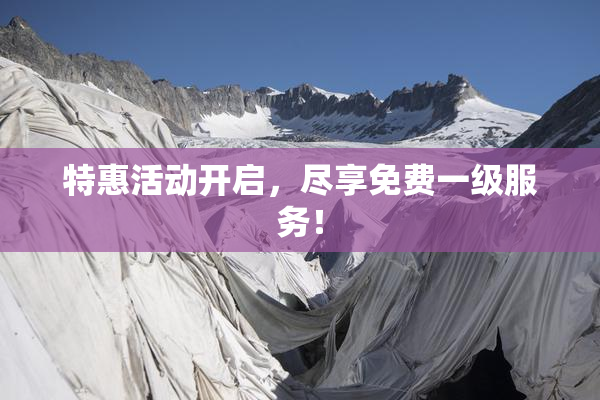 特惠活动开启，尽享免费一级服务！