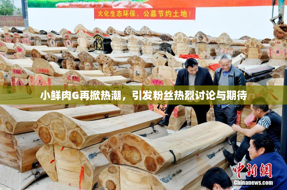小鲜肉G再掀热潮，引发粉丝热烈讨论与期待