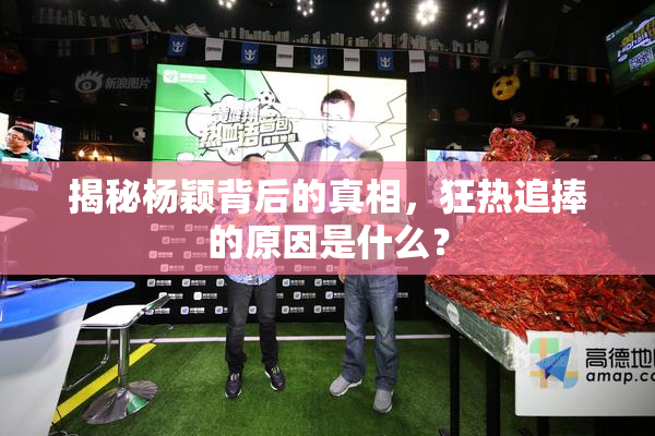揭秘杨颖背后的真相，狂热追捧的原因是什么？