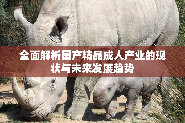 全面解析国产精品成人产业的现状与未来发展趋势