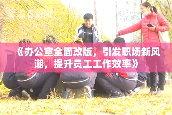 《办公室全面改版，引发职场新风潮，提升员工工作效率》