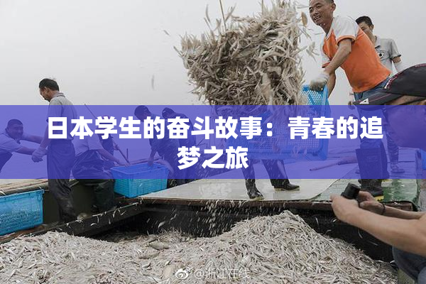 日本学生的奋斗故事：青春的追梦之旅
