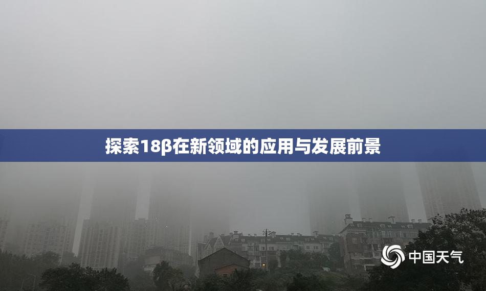 探索18β在新领域的应用与发展前景