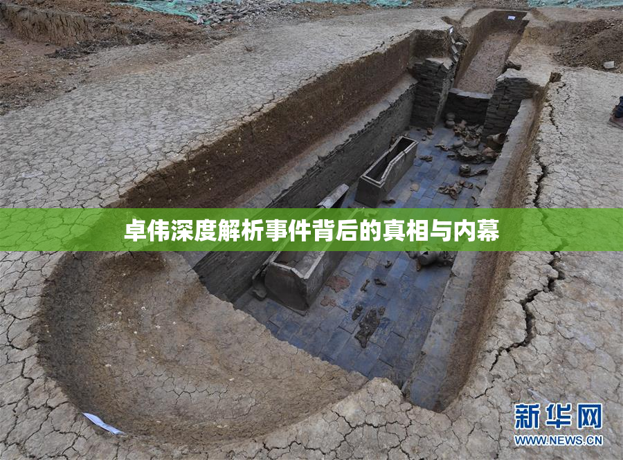 卓伟深度解析事件背后的真相与内幕