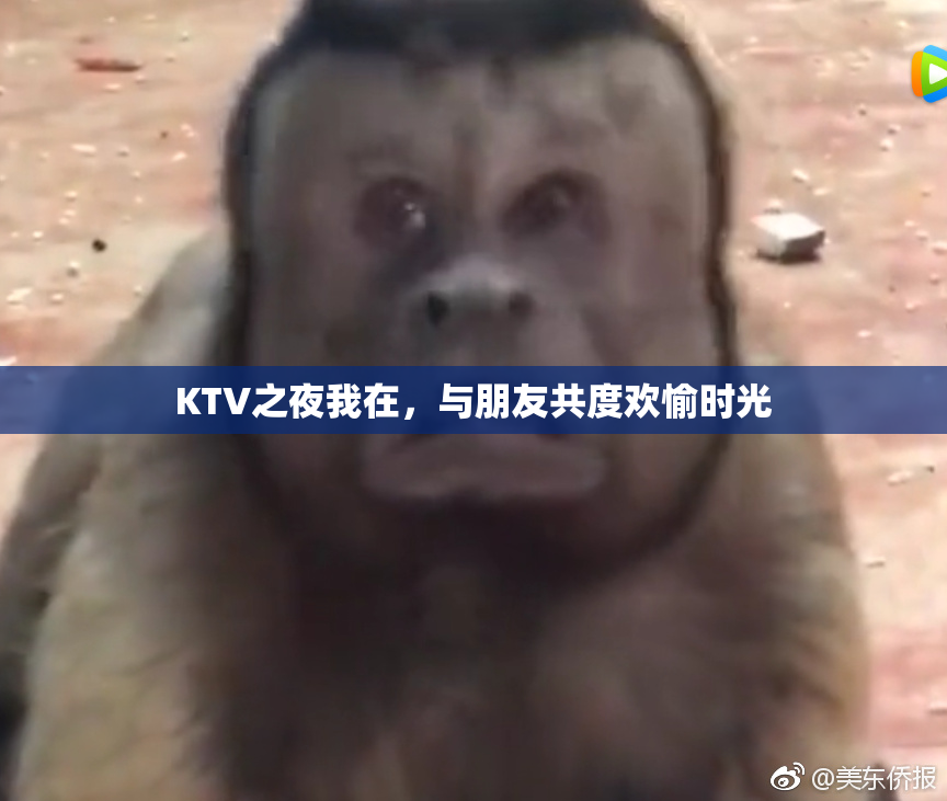 KTV之夜我在，与朋友共度欢愉时光