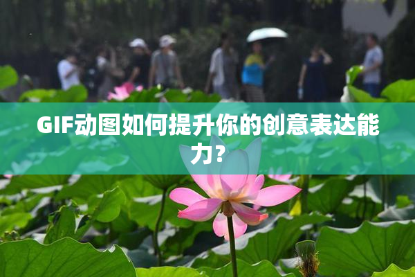 GIF动图如何提升你的创意表达能力？