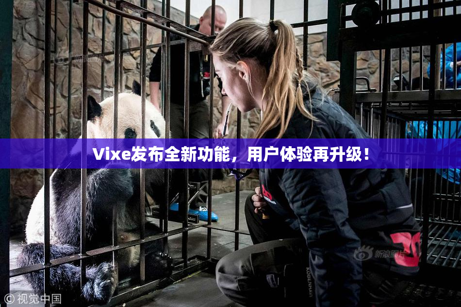 Vixe发布全新功能，用户体验再升级！
