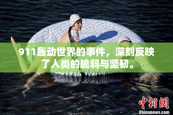 911轰动世界的事件，深刻反映了人类的脆弱与坚韧。
