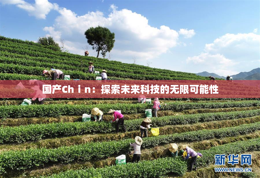 国产Chⅰn：探索未来科技的无限可能性