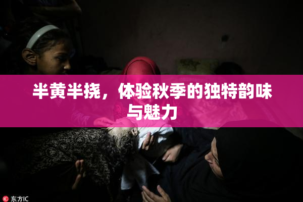 半黄半挠，体验秋季的独特韵味与魅力