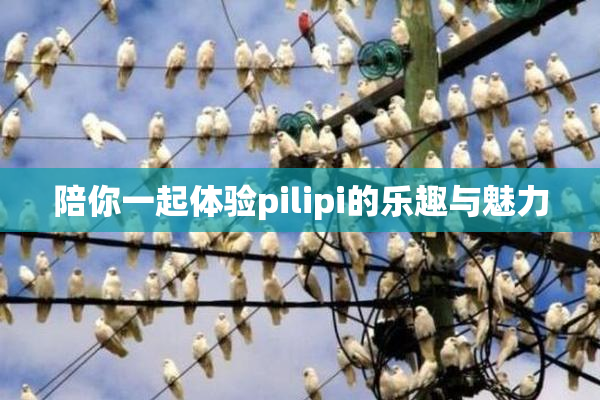 陪你一起体验pilipi的乐趣与魅力