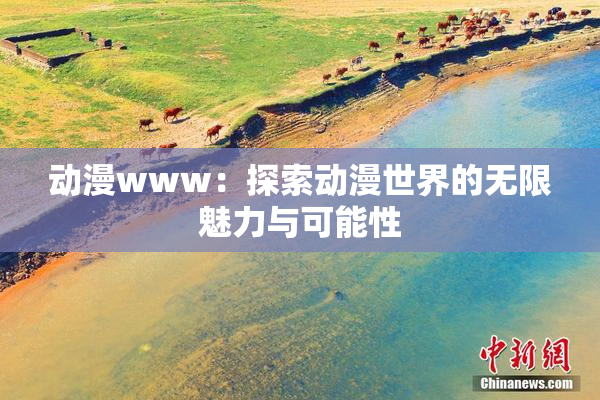 动漫www：探索动漫世界的无限魅力与可能性