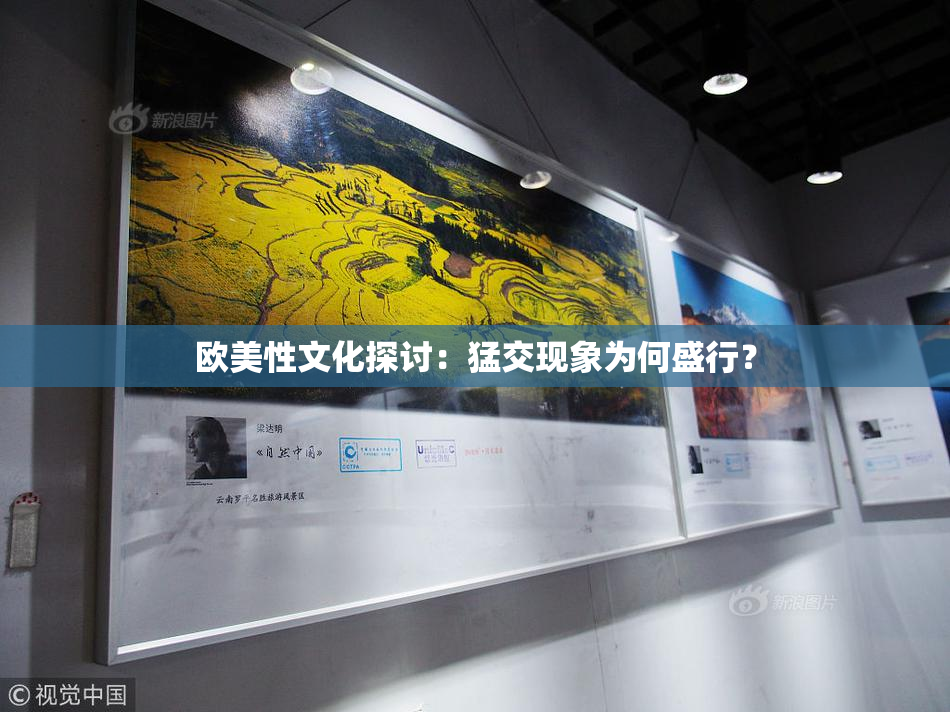 欧美性文化探讨：猛交现象为何盛行？