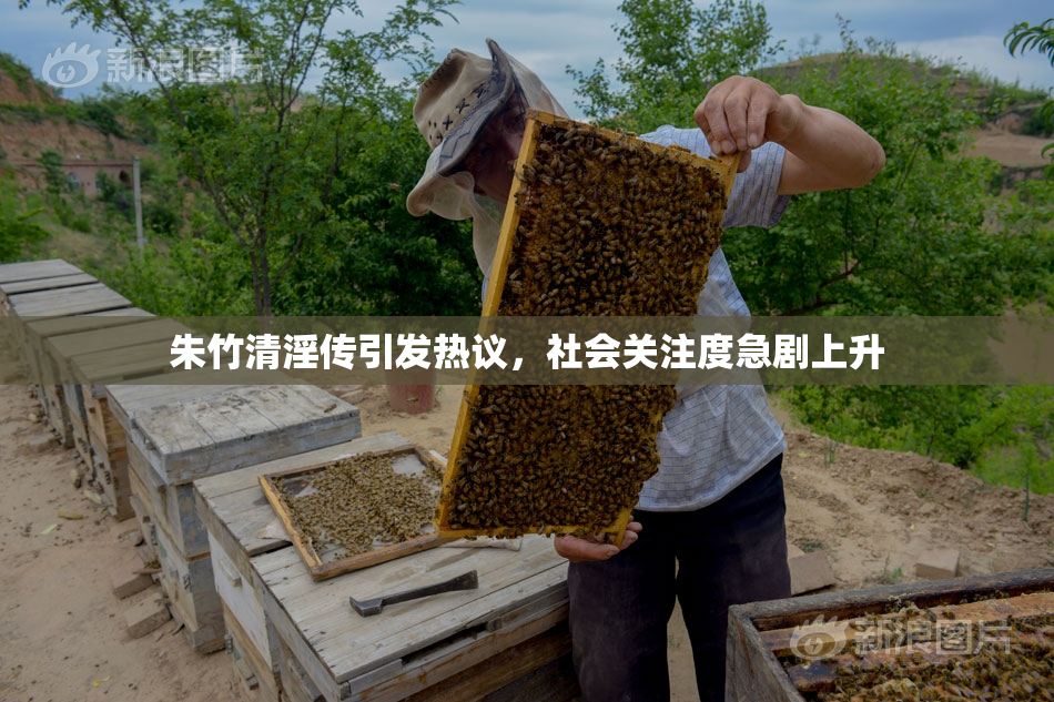 朱竹清淫传引发热议，社会关注度急剧上升