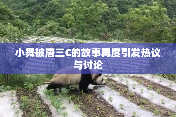 小舞被唐三C的故事再度引发热议与讨论