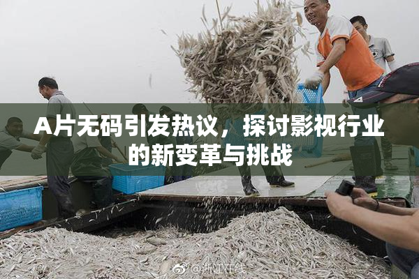 A片无码引发热议，探讨影视行业的新变革与挑战