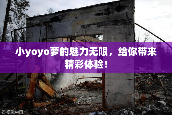 小yoyo萝的魅力无限，给你带来精彩体验！