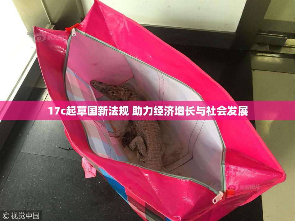 17c起草国新法规 助力经济增长与社会发展