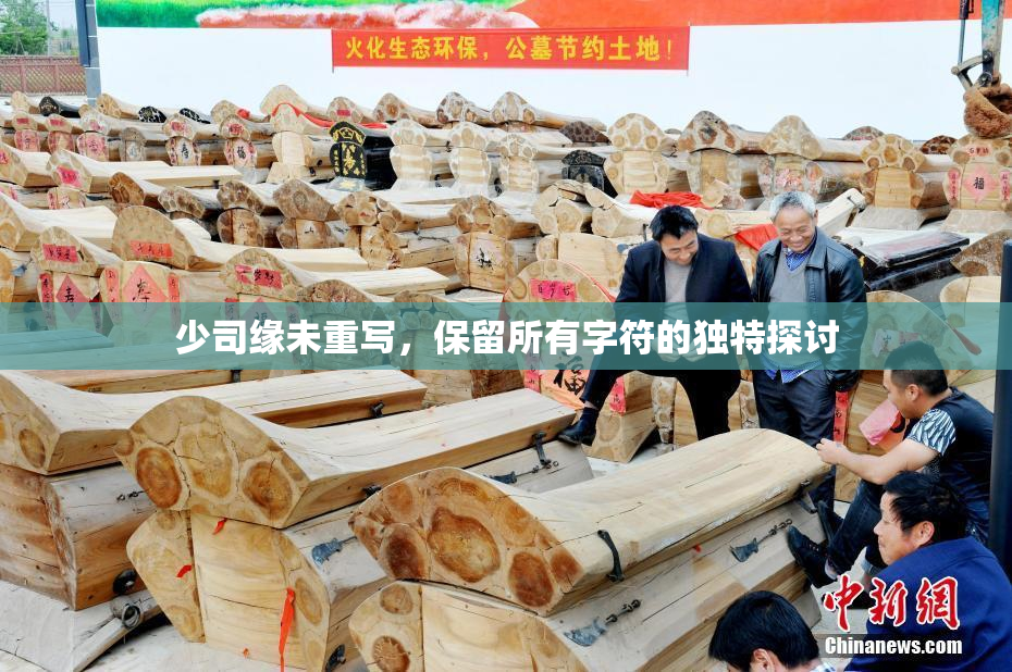 少司缘未重写，保留所有字符的独特探讨
