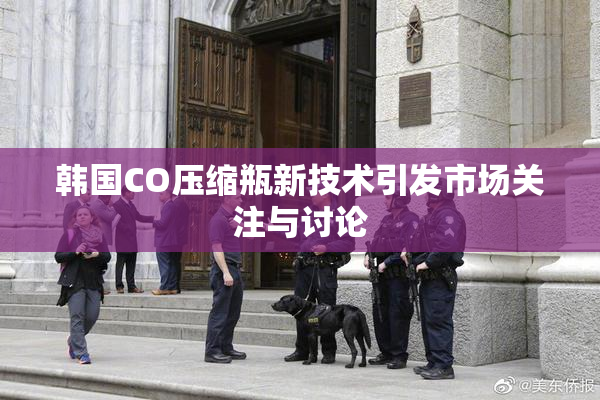 韩国CO压缩瓶新技术引发市场关注与讨论